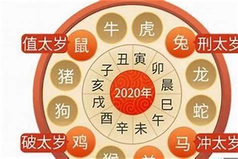 2024年 龙年|2024年属龙人的全年运势 属龙人2024年每月运势及运程详解